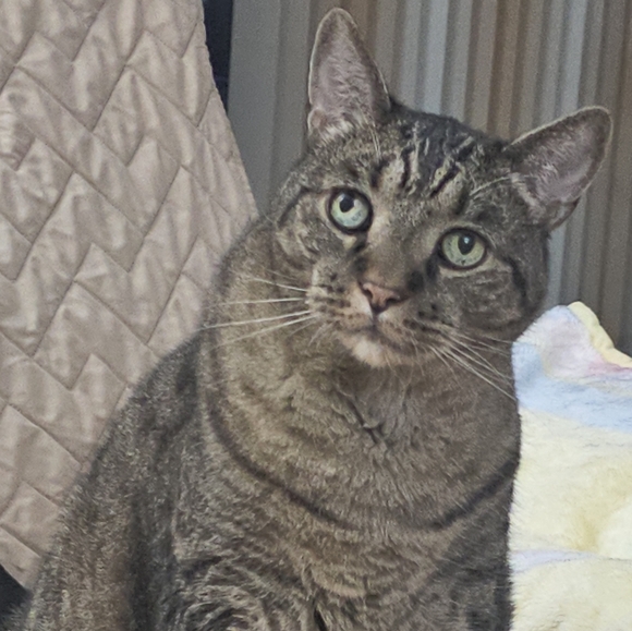 Meet your Posher, Irene - Picture 1 of 1